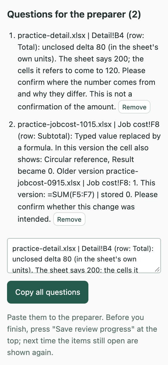 Two questions for the preparer, each naming the file, sheet and cell, with a Copy all questions button.